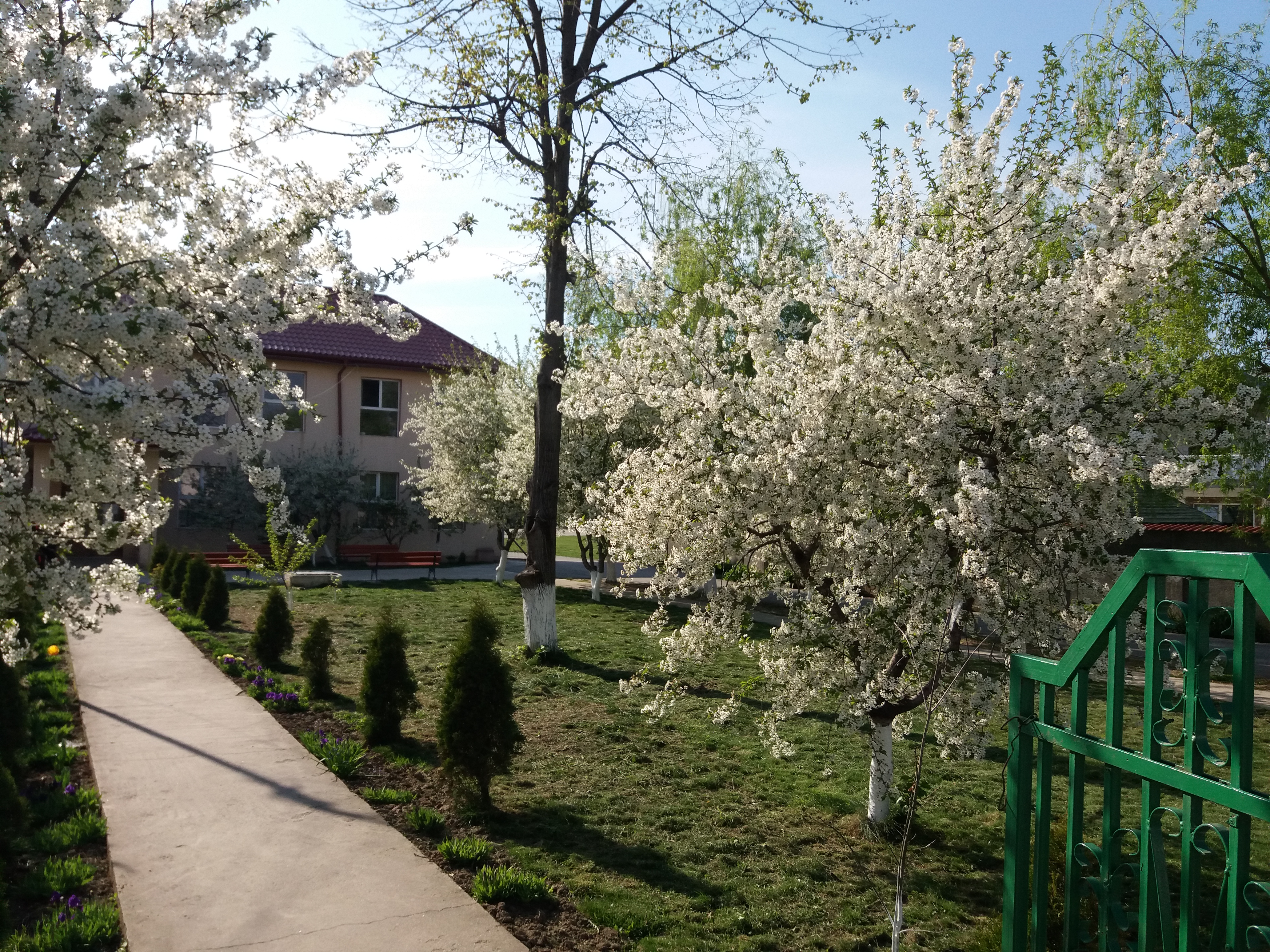 Bine ati venit pe platforma Coresi 2.0